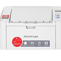 PANTUM 奔图 P2206NW 黑白激光打印机
