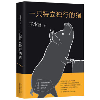 王小波杂文（套装共4册）