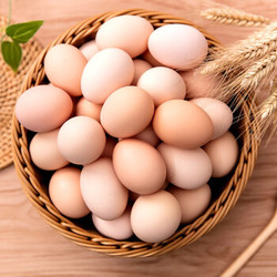 喜食斋 正宗农家散养土鸡蛋 40枚 +凑单品