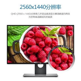 DELL 戴尔 U2518D 25英寸 IPS显示器（2560×1440、dE＜2）