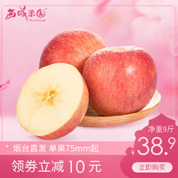 山东烟台红富士苹果净重5斤当季新鲜水果整箱包邮
