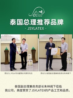jsylatex 泰国原装进口天然乳胶床垫 送两个乳胶枕 180*200*5cm