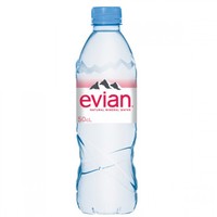 Evian 依云 天然矿泉水 500ml*24瓶 *2件