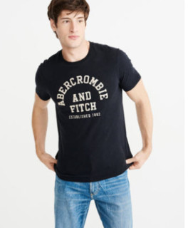 Abercrombie＆Fitch Logo 贴花T恤