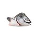 渔传播 进口冷冻三文鱼鱼头（大西洋鲑） 400-600g 1个 *2件