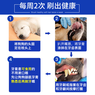 TRIXIE 特瑞仕 狗狗牙刷牙膏套装宠物刷牙指套除神器口臭可食用小型犬泰迪