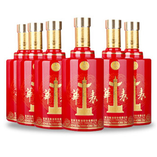 WULIANGYE 五粮液 华表悦宾酒 500ml*6瓶