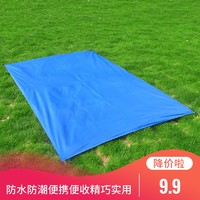 双面铝箔春游野餐垫防水地席野炊垫帐篷睡垫加厚户外防潮草坪垫