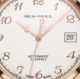 SeaGull 海鸥 云翼系列 519.332 男士自动机械手表