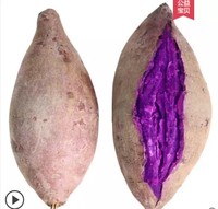 红高粱  山东新鲜紫薯 10斤