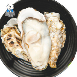 贝司令 乳山生蚝 海蛎子鲜活新鲜牡蛎 4XL号 10斤装约20-24个 海鲜水产 烧烤食材