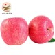 陕西 洛川富士苹果 脆甜多汁 口感酸甜 新鲜水果 洛川红富士苹果净果约2.5kg（70-80mm） *2件