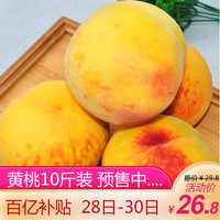 安徽砀山黄桃 现摘现发新鲜水果桃子 精选10斤黄桃