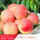 哆啦生鲜   水蜜桃  整箱9.5-10斤