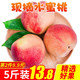 壹农壹果 山西水蜜桃 蜜脆桃桃子水果新鲜水果 带箱5斤(净果4.5) 水蜜桃新鲜