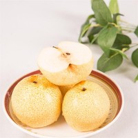DANGNINGGUOPIN 砀宁果品 百年砀山酥梨  10斤