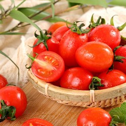 幸尚果 新鲜圣女果樱桃小番茄超甜农家自然熟小西红柿 2.5kg