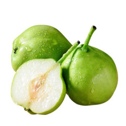 寻天果蔬 河北青皮酥梨 5斤装