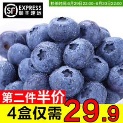 新鲜蓝莓 新鲜水果 4盒装共500g 顺丰速运 京东生鲜 *2件