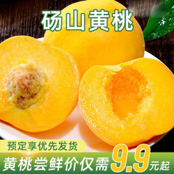 安徽砀山黄桃新鲜大桃子应季水果 黄桃10斤