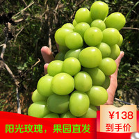 帆儿庄园 现货云南青提 2.5kg