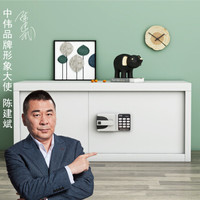 中伟保密柜文件柜档案柜保险柜双保险密码柜国宝锁灰白单节加厚款