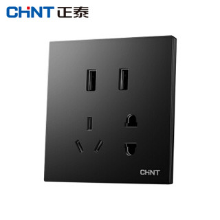 正泰（CHNT）NEW6 T13236 黎明灰开关插座 五孔插座 双USB五孔插座