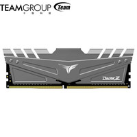 Team 十铨 冥神Z DDR4 2666 台式机内存条 8GB