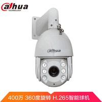 大华（Dahua）400万30倍变焦H.265智能网络红外150米球机360度旋转DH-SD6C84FX-GN