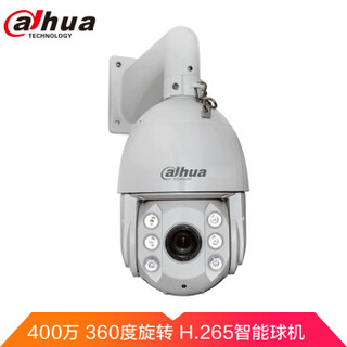 大华（Dahua）400万30倍变焦H.265智能网络红外150米球机360度旋转DH-SD6C84FX-GN