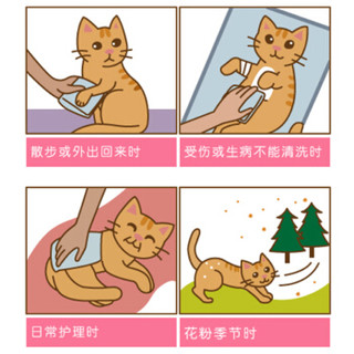 日本进口 JOYPET猫湿巾氨基酸配方宠物猫毛发清洁湿巾（猫用）25片/包