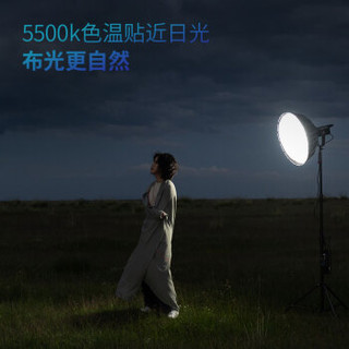 爱图仕Aputure LS 120d II 摄影补光灯 视频直播外拍灯 人像婚庆影视灯 摄像影室灯 LS C120d II