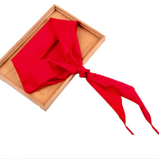 红领巾实物图片图片
