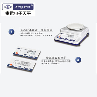 幸运(XingYun)XY100-2C 110g/0.01g精密电子天平百分之一天平药材称（订货周期10个工作日）