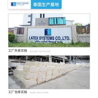 Latex Systems 乳胶枕头 泰国原装进口 天然枕芯 颈椎护颈枕 高低透气枕