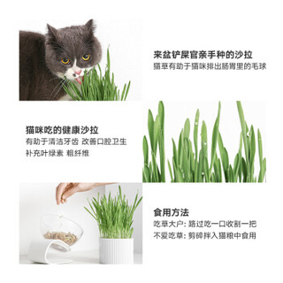 pidan 猫零食 猫草种植套装 去毛球排毛猫草猫薄荷小麦种子猫零食猫咪盆栽 高品质猫用品