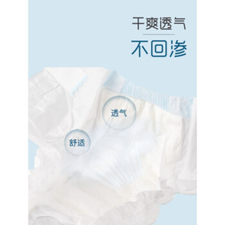 疯狂小狗 宠物专用纸尿裤 女宝S10片