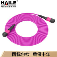 海乐（Haile）多模万兆OM4光纤跳线 40G/100G模块用MPO光纤线 12芯MPO-12芯MPO 5米 MPO-MTA12-5M