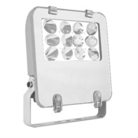 R 牌LZY8101(40W)应急 LED 防眩泛光灯