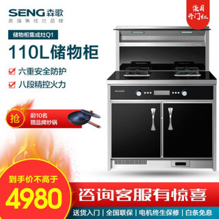 SENG 森歌 Q1 橱柜一体机