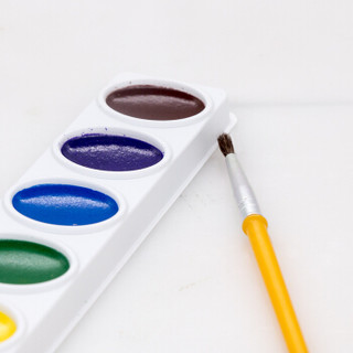 绘儿乐（Crayola）美国进口8色可水洗固体颜料儿童手绘学生美术用品绘画文具油画练习工具 53-0525