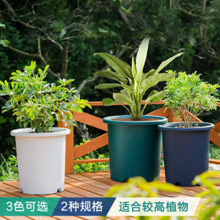 爱丽思（IRIS）Deepot深型花盆PP树脂花盆塑料多肉花盆圆形落地简约特大号欧式花盆 10号 白色-3只装