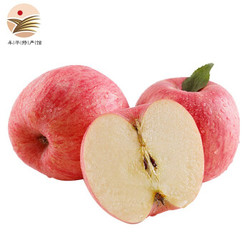 金山湾 烟台红富士苹果 6-12个净重5斤