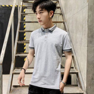 富铤 (FORTEI) POLO衫男2019夏季新款休闲纯色t恤时尚修身透气男装9038 灰色 2XL