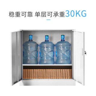 荣将 文件柜 钢制办公资料柜档案铁皮财务凭证票据带锁抽屉储物柜 加厚款二斗玻