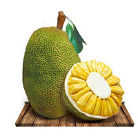益优果 海南三亚新鲜水果菠萝蜜黄肉1个20-25斤/10-12.5kg
