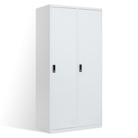 洛克菲勒 二门更衣柜铁皮柜办公员工多门储物柜浴室简易衣柜