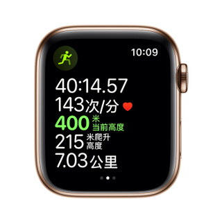 Apple Watch Series 5智能手表（GPS+蜂窝网络款 44毫米金色不锈钢表壳 岩石色运动型表带 )