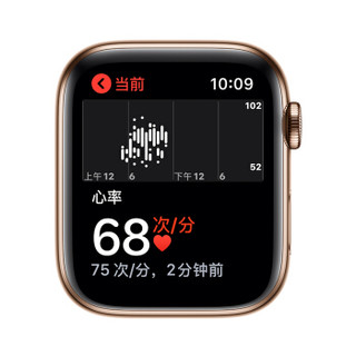 Apple Watch Series 5智能手表（GPS+蜂窝网络款 44毫米金色不锈钢表壳 岩石色运动型表带 )