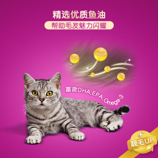 whiskas 伟嘉 猫粮 宠物猫零食 猫湿粮 软包猫罐头 成猫全价妙鲜包 营养加油站系列 牛肉味1